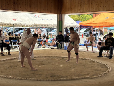 IMG_6472