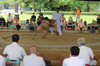 IMG_7805