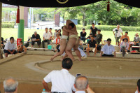 IMG_7854
