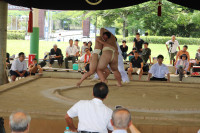 IMG_7855