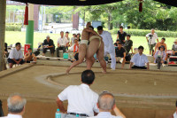 IMG_7856