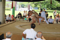 IMG_7858