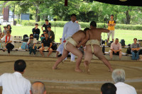 IMG_7883