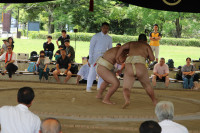 IMG_7884