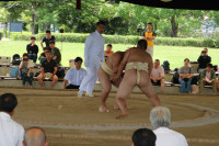 IMG_7886