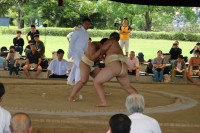 IMG_7887