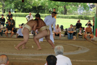IMG_7892