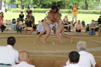 IMG_7897