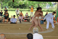 IMG_7901