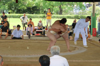 IMG_7903
