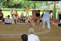 IMG_7905