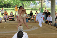 IMG_7910