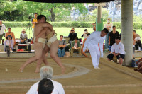 IMG_7911