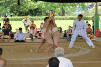 IMG_7915