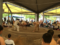 IMG_7304