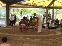 IMG_7311